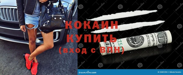 сатива Абаза